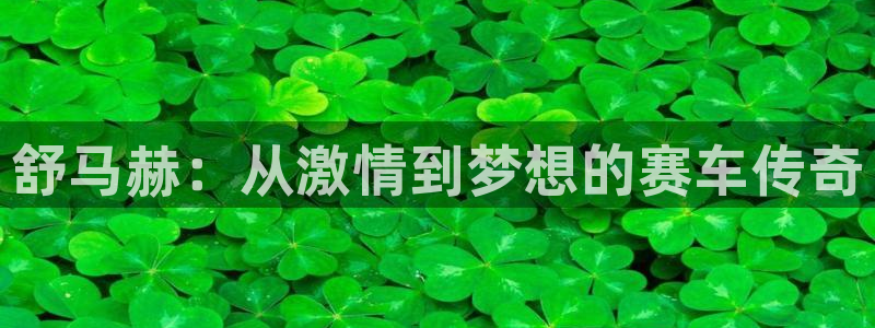 一竞技官网下载联系电话:舒马赫:从激情到梦想的赛车传奇