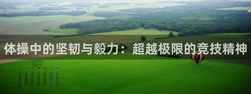 一竞技官网下载平台假的吗是真的吗:体操中的坚韧与毅力:超越极